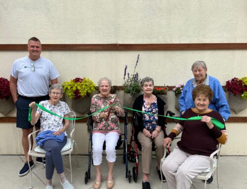 How Vertical Gardening Can Enhance Senior Living Facilities