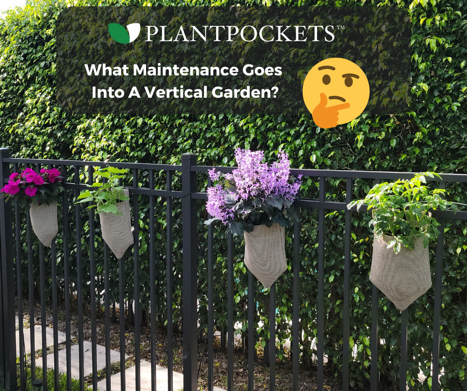 Vertical Garden Maintenance Tips