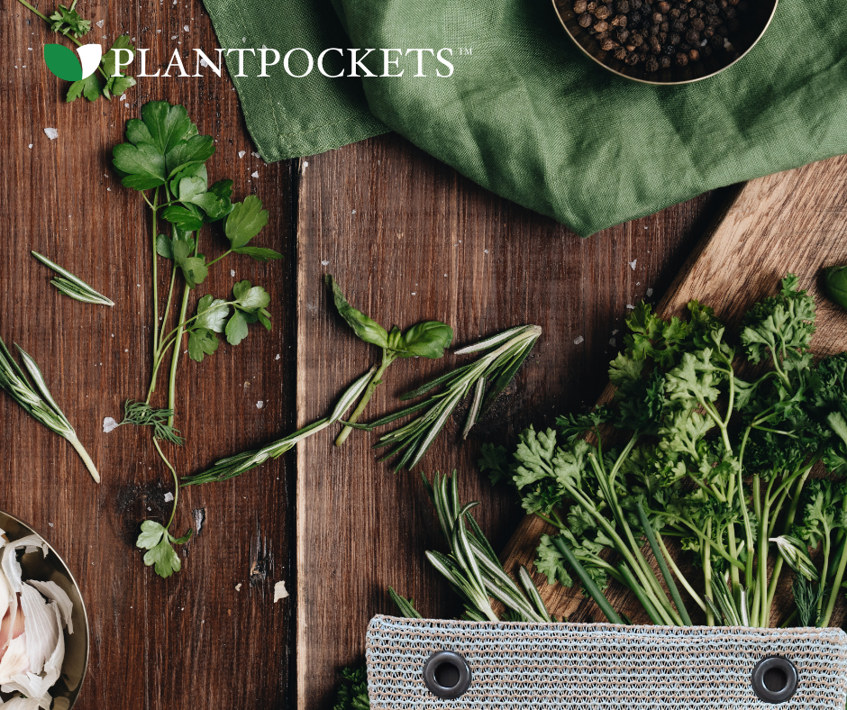 growing herbs indoors