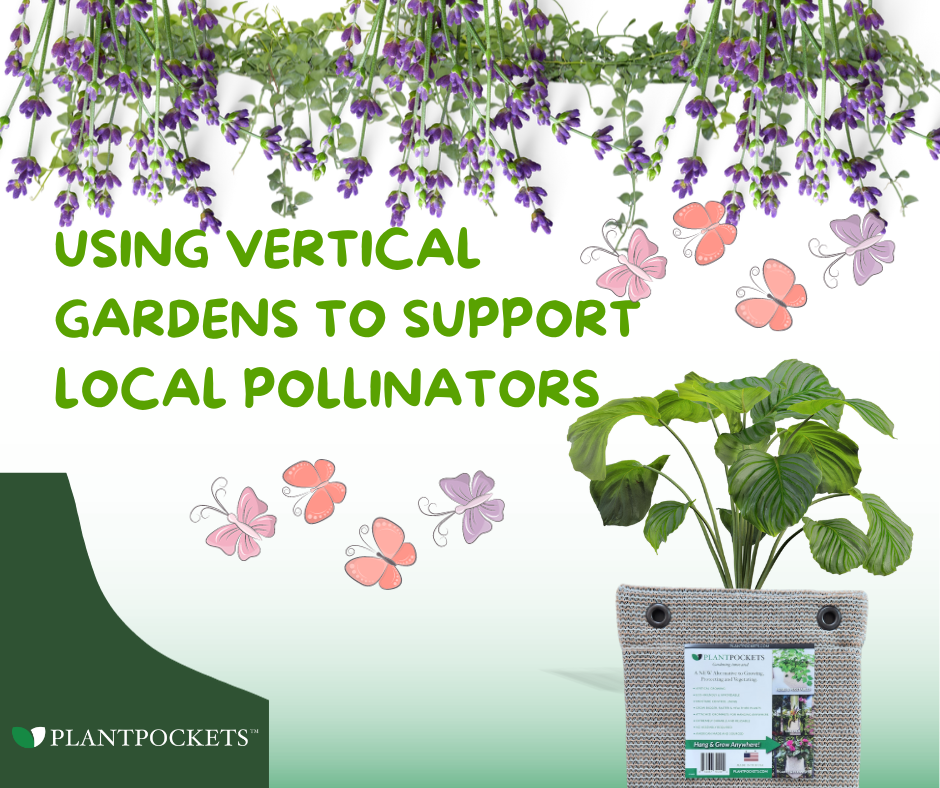 Pollinators and Vertical Gardens