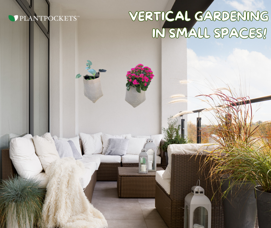 Vertical Gardening in small spaces
