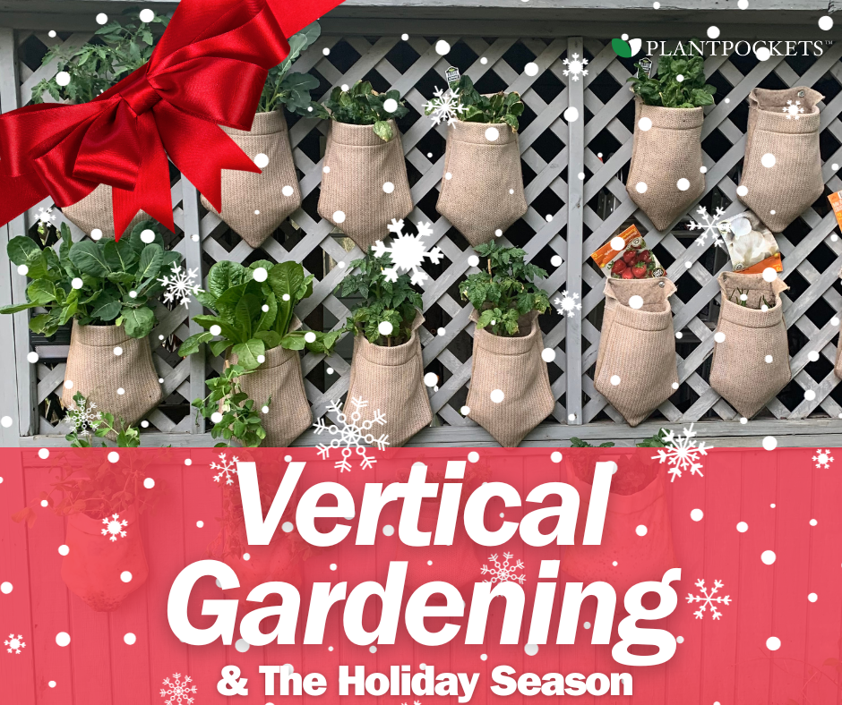 Vertical Gardening and the Holiday Season