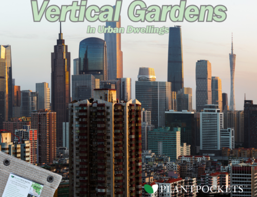 Vertical Gardening Is a Must For Urban Dwellers