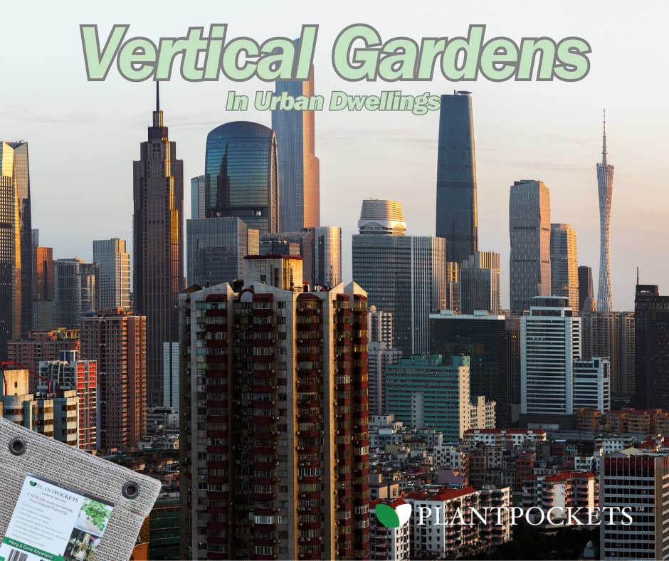 Vertical Gardening in Urban Dwellings