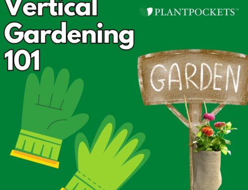 Vertical Gardening 101 – A Beginners Guide To Get You Started