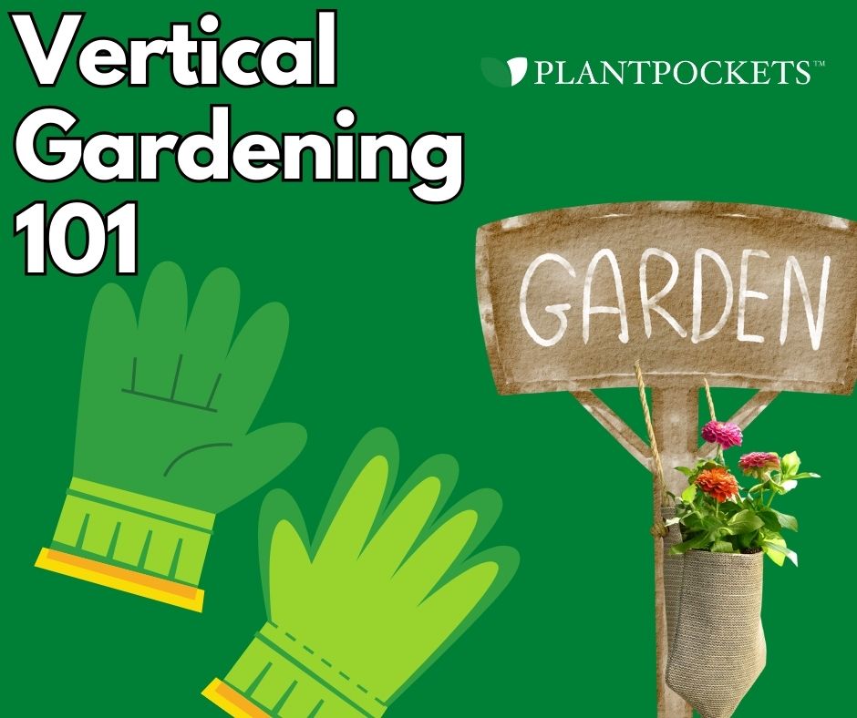 vertical gardening 101